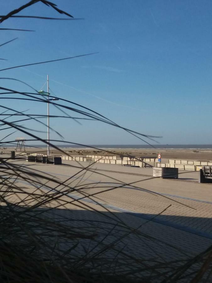 Zeebrugge *
